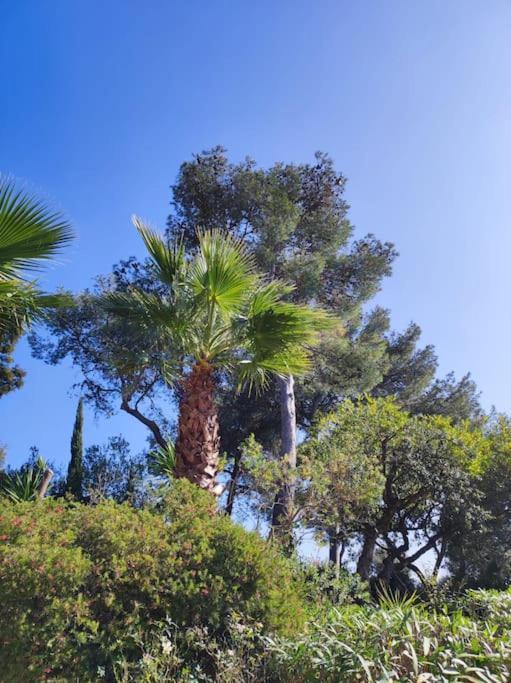 La Californienne Villa Carqueiranne Ngoại thất bức ảnh