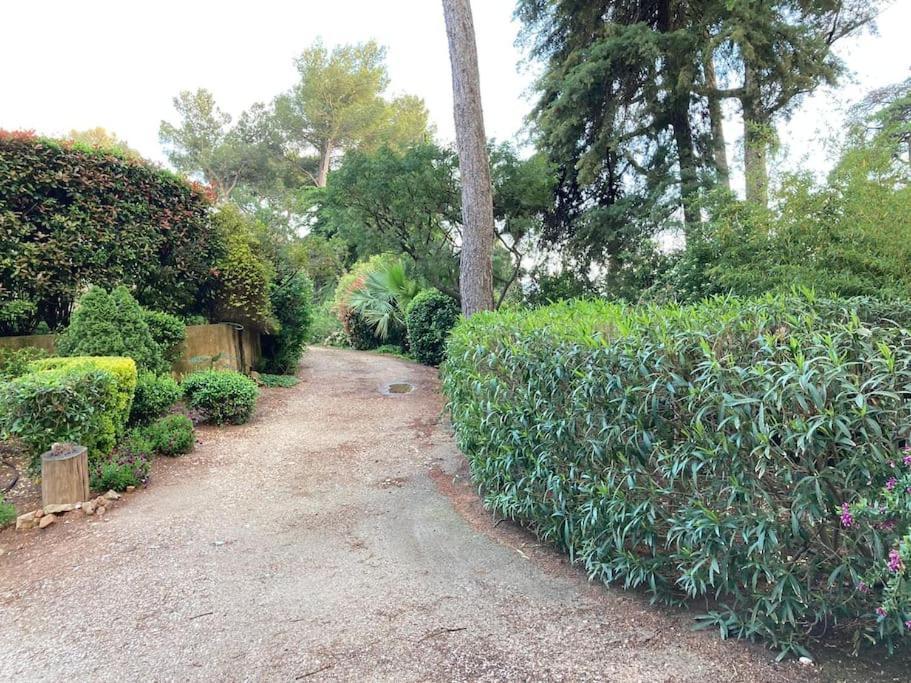 La Californienne Villa Carqueiranne Ngoại thất bức ảnh